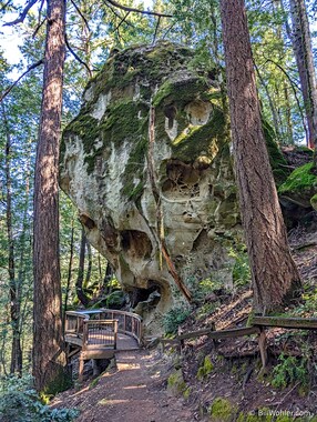 The tafoni (https://en.wikipedia.org/wiki/Tafoni) produces many unusual patterns