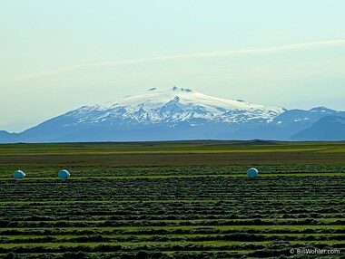 Sn&aelig;fellsj&ouml;kull, and hay? In Iceland?