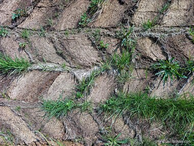 The turf walls of the replica