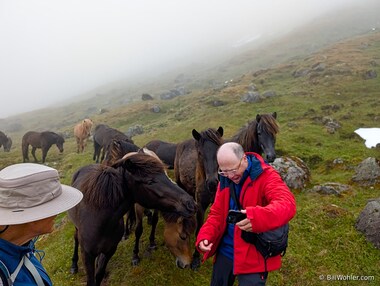 Dan takes a selfie of him and the horses