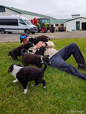 J&oacute;n is a big hit with the puppies on the farm where we parked our bus
