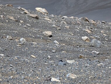 Boulders ejected from the eruption of the Hverfjall Crater create a Martian-like landscape