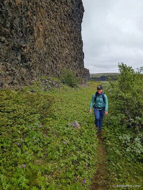 A lush valley between two volcanic walls