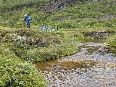 Hiking alongside a clear creek