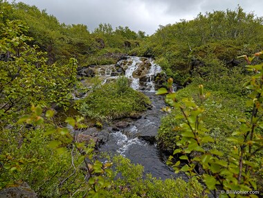A gentle waterfall in the brush