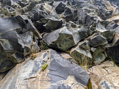 Looking up to see the intricate detail of the basalt rock and the ferns eking out an existence in small cracks