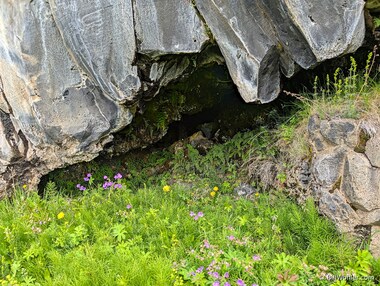 Flowers, horsetails, and small ferns decorate a small cave