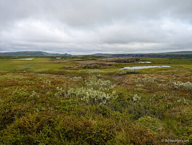 We climb and reach a plateau