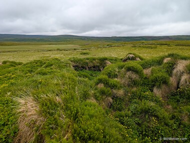 Ruins of the Sv&iacute;nadalur farm