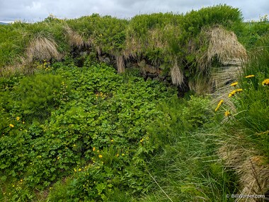 Ruins of the Sv&iacute;nadalur farm