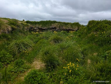 Ruins of the Sv&iacute;nadalur farm