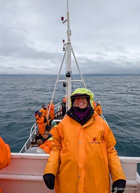 Whale watching with North Sail Tours (https://www.northsailing.is/) with rain at the beginning that broke soon after we were underway and calm seas where we saw three different flukes, and blows from at least 5 individuals