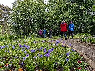 Akureyri Botanical Garden