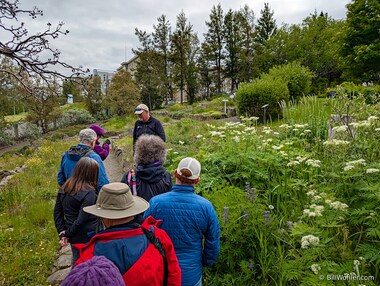 Akureyri Botanical Garden