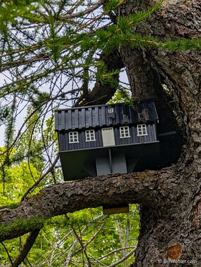 Akureyri Botanical Garden