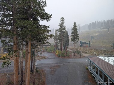 It snowed all morning--it's hard to see in this photo, but you might see it in front of the street or the dark hall in the front right