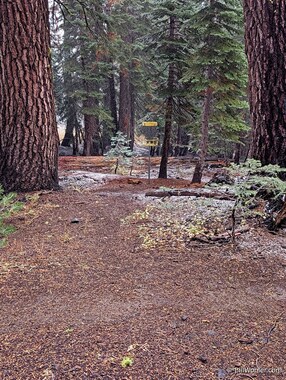 The 8th pin is in the woods--what a lovely course!