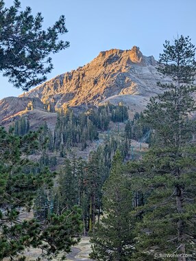 What a difference a day makes! Compare with the first  photo from yesterday, which was taken at the same angle, but with a wider angle lens