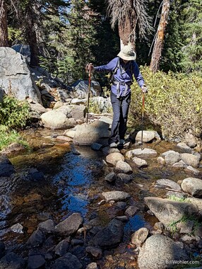 Lori fords the Emigrant Creek