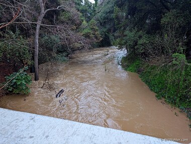 The San Francisquito creek after a good three inches of rain