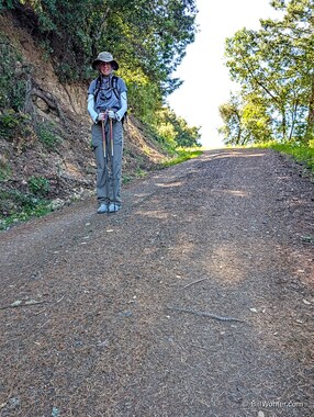 In addition to this western rattlesnake (Crotalus oreganus) that Lori said I nearly stepped on, we also saw a gopher snake and a ring-necked snake (Diadophis punctatus)