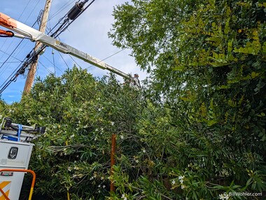This lineworker had threaded the wires and extended all the way to the house--he was half-way back before I thought to snap a shot. He fixed a loose ground that had been chewed by squirrels and our flickering lights, which we had endured for 15 years, were a problem of the past.
