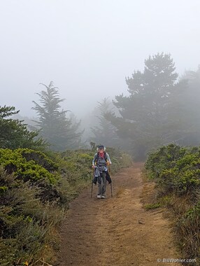 Lori enjoys the short respite between segments of stairs on the steep Alta Vista trail on a cold and drizzly morning