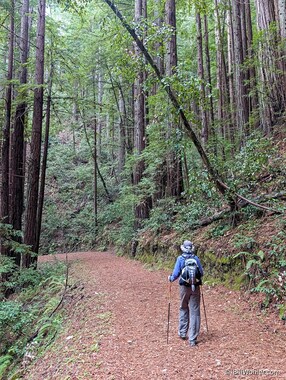 Lori enjoys these wide paths free of poison oak