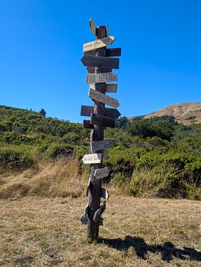 Which path will you choose?
