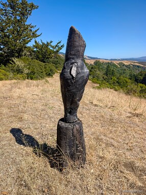 In Pasture, 2022. Jacqueline Rush Lee. Hand-carved, charred and reclaimed wood.