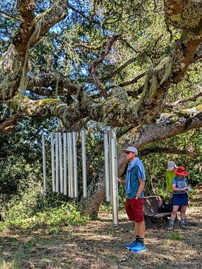 Dave strikes up a tune on these chimes hanging from an old oak in front of Estaciones de Luz.