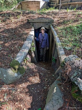 Lori emerges from the Estaciones de Luz, 1987-88. Mark Reeves. Wood. Follow the link to see a photo of the outside of the work.