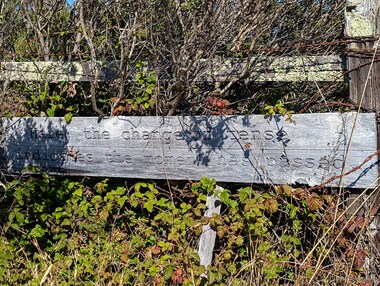 Footnotes, 2016. Cintia Santana. Found redwood planks.