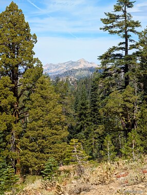 A nicely framed view of the Desolation Wilderness on our descent