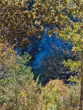 Suddenly, a tree burst into flames and just as suddenly, the flames went out. This is called a "flare up."