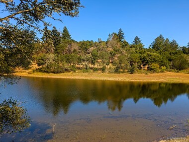 A prescribed burn occurred here last year.