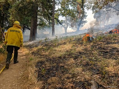 We walked up the trail by burning logs.