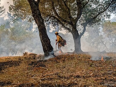 This firefighter uses his hoe to arrange burning logs in piles to help them burn more completely. I saw another firefighter use his hoe to remove duff around a large and favored tree and then apply water to protect it.