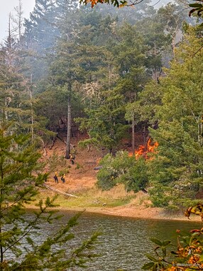 We then moved around the lake to view a more active burn.