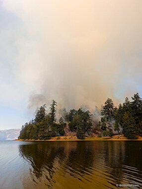 The fire generated a tall pillar of smoke.
