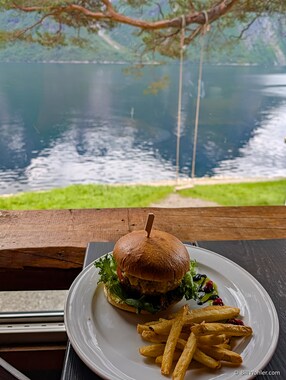 A delicious venison burger and "the swing" down below