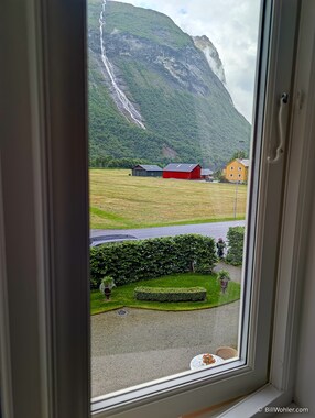 The view out our window