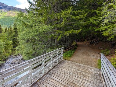 This trail through the woods is wide and comfortable.
