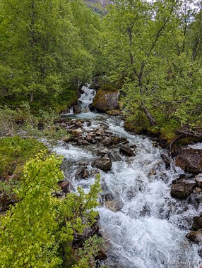 The last stream crossing of the day