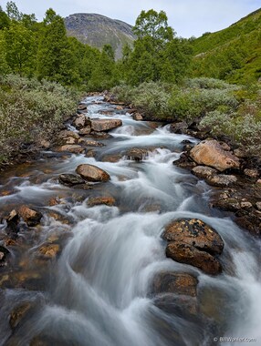 Looking upstream