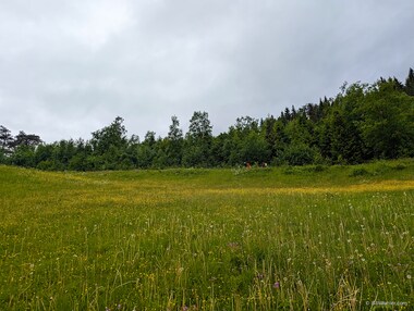Stefano and Lori and others begin the hike to Mefjellet.