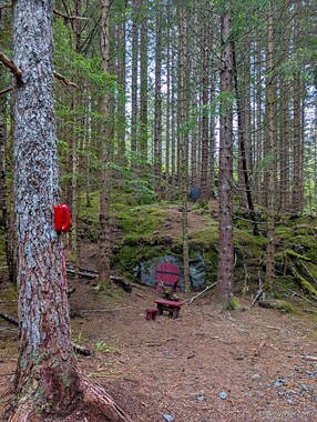 There's the troll's house, and his phone. There are some wild animals lurking in the background.